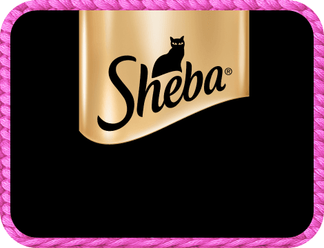 Sheba